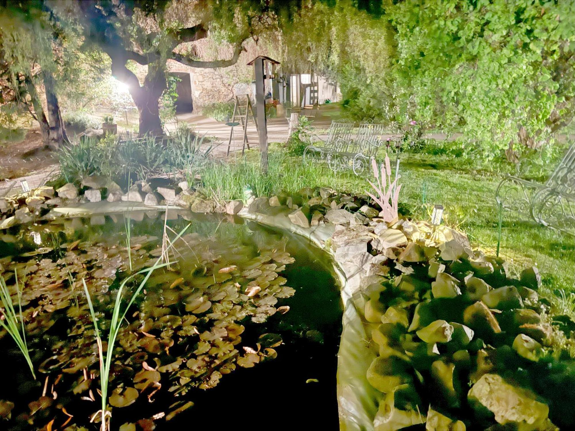 Harzhotel Warnstedter Krug Thale Exterior foto